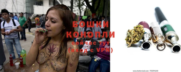 ГАЛЛЮЦИНОГЕННЫЕ ГРИБЫ Волосово